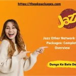 Jazz Other Network Call Packages: 3 Jazz Other Network Call Packages