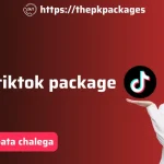 Jazz TikTok Package – Stay Connected with Unlimited Fun 5 thepkpackages